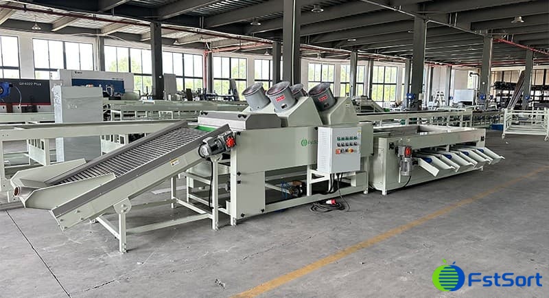 images/1699948359483dates cleaning sorting line.jpg